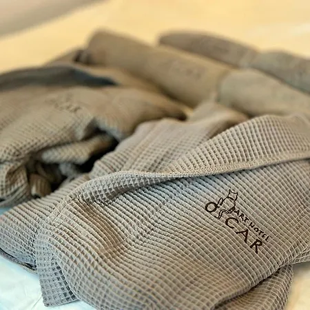 Arthotel Oscar I فندق