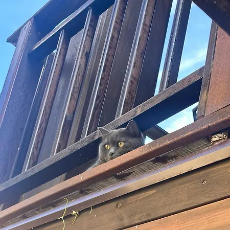 فندق Arthotel Oscar I