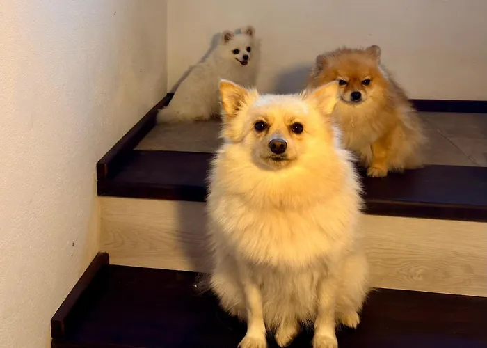 호텔 Arthotel Oscar I *