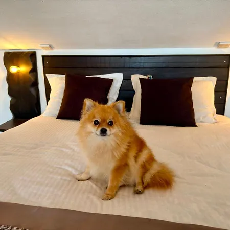 Arthotel Oscar I * Sozopol