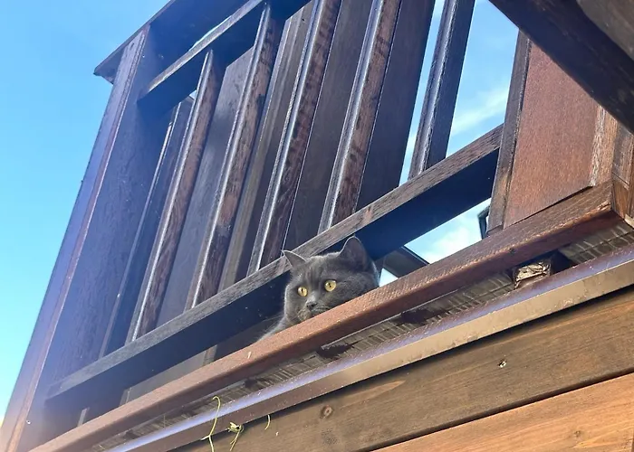 Hotel Arthotel Oscar I